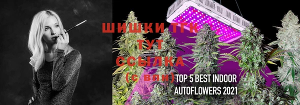 эйфоретик Абинск